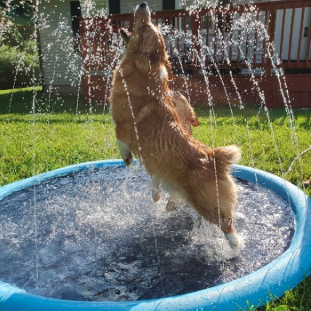 💦Opvouwbare buitenzwembad- en waterspuitmat